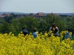070501radtour06