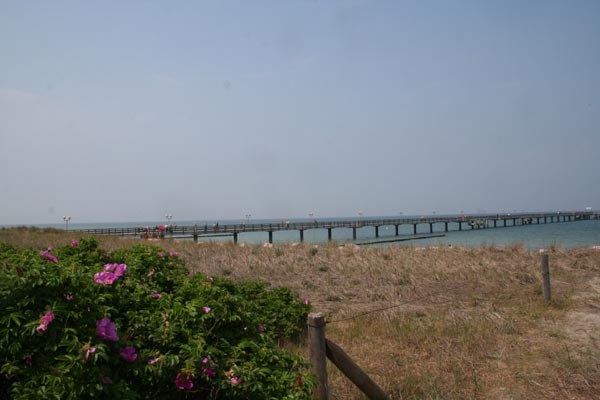 070525mp (09)
