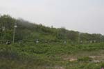 070525mp (08)