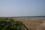 070525mp (09)