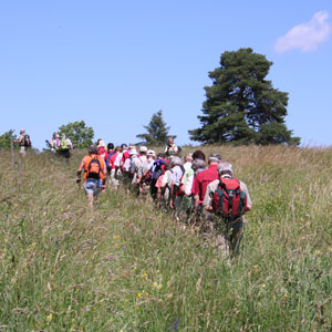 Die Wandergruppe auf den Rossbergwiesen