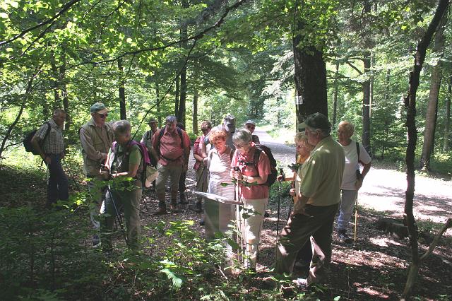 070812lemberg01 (10)