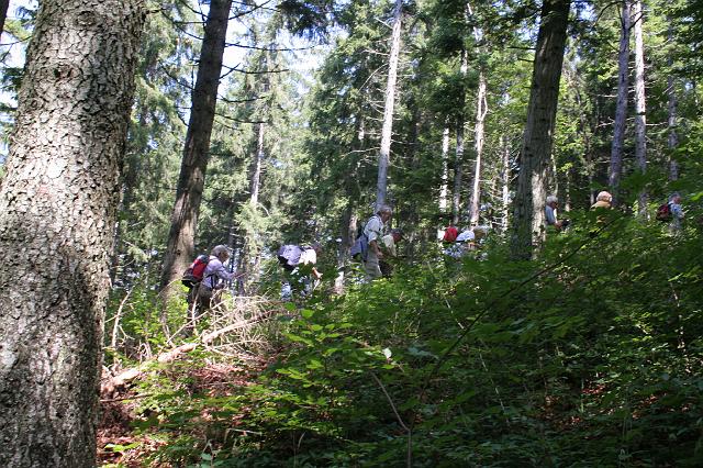 070812lemberg01 (11)