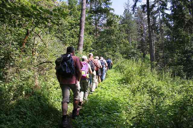 070812lemberg01 (17)