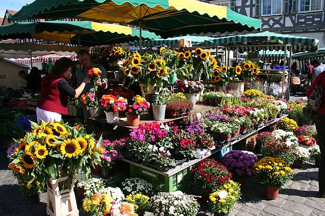 Remstal 22.9.2007