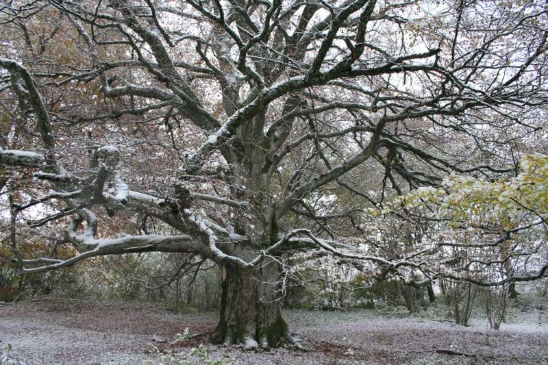 Sptherbstwanderung auf dem Neuban