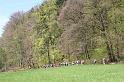 Blütenwanderung