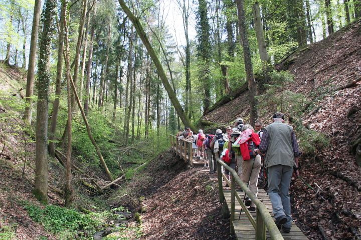 Blütenwanderung