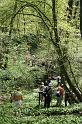 Blütenwanderung
