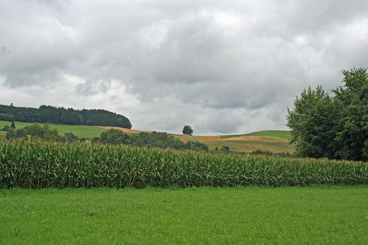 Hohenfels 20.7.08