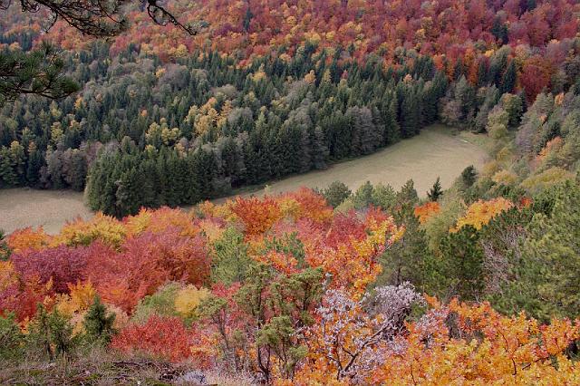Herbstwanderung in den Balinger Bergen