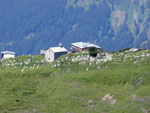 Freschenhaus Freschenhaus