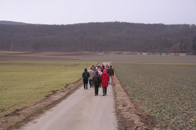 Kalkofenmuseum - Mochental - Saukopf