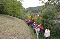 Blütenwanderung 01