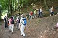 Blütenwanderung 01
