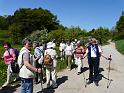 Blütenwanderung 02