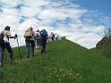 Blütenwanderung 02