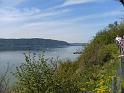 Blütenwanderung 02