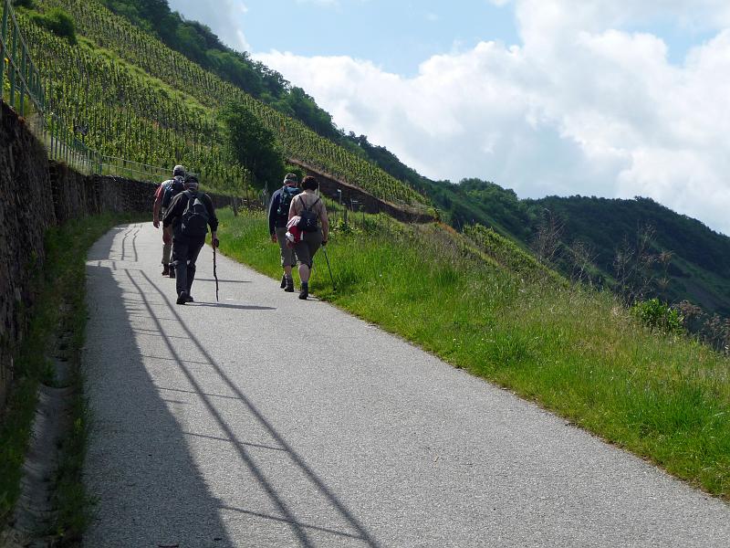0905mosel_vortour_007.JPG