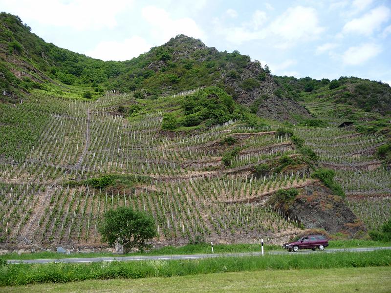 0905mosel_vortour_024.JPG