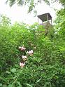 100620schmalegg011