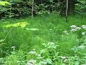 100620schmalegg019