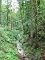 100620schmalegg024