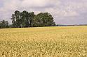 100718ramsberg026