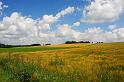 100718ramsberg035