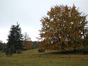 101020senioren_ochsenberg011