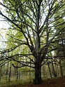 101020senioren_ochsenberg015