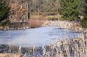 110212bitzehau_pflege002