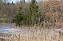 110212bitzehau_pflege004
