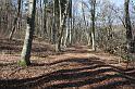 110320maerzenbecher014