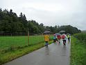 110807wolfstal009