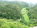 110807wolfstal027