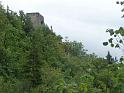 110807wolfstal031