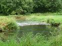 110807wolfstal034