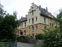 110807wolfstal038