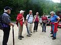 110807wolfstal039