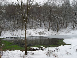 Biotop im Luibental