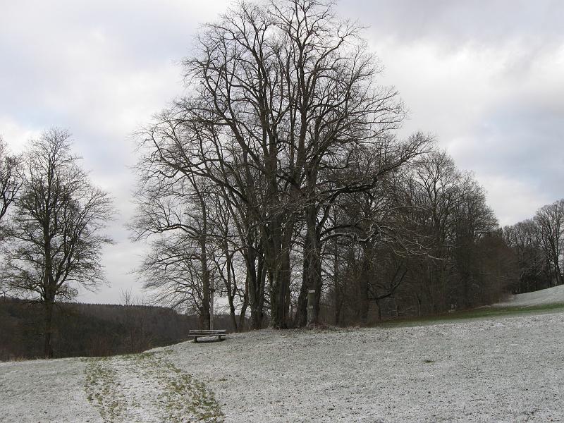 120114winterwanderung_laiz097.jpg