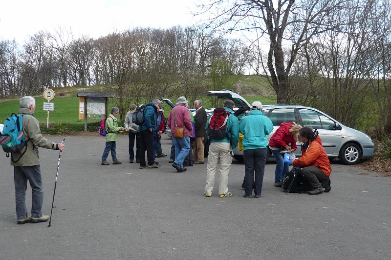 120421bluetenwanderung02_001.JPG - Am Wanderparkplatz Breitenstein