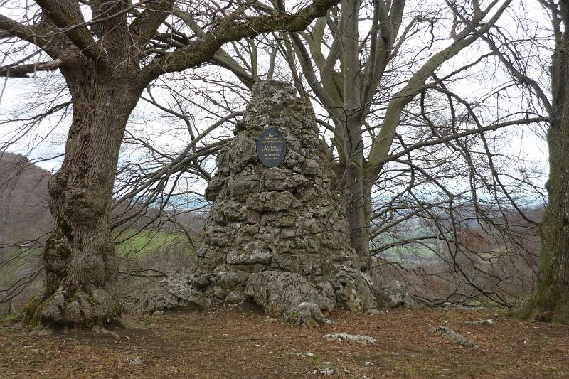 120421bluetenwanderung02_004.JPG - ...Salzmannstein. Der "Salzmannstein" erinnert Dr.Valentin Salzmann, auf dessen Initiative hin 1888 der Schwäbischen Albverein gegründet wurde. Siehe > Die Gründung Hauptvereins 1888