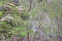 120421bluetenwanderung02_017