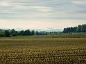 120517_BaWa2_009a