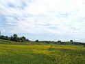 120517_BaWa2_026