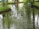 120517_BaWa2_034