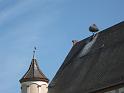 120517_BaWa3_019