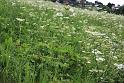120712_talweg1_028